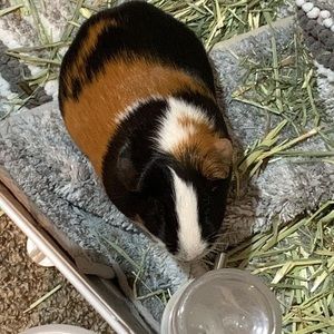 Meet your Posher, Jess